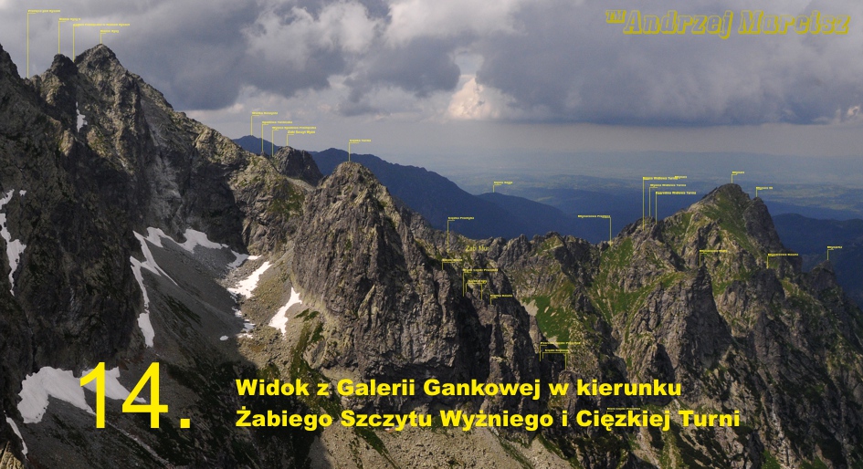 Widok z Galerii Gankowej